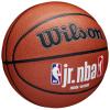 Wilson Jr NBA Fam Logo In/Out Ball WZ2009801XB
