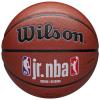 Wilson Jr NBA Fam Logo Auth In Out Ball WZ2018401XB