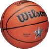 Wilson 2025 NBA All Star Replica Ball WZ2022601XB