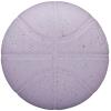 Wilson WNBA Heir Outdoor Ball WZ3016901XB