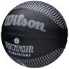 Wilson NBA Player Icon Victor Wembanyama Outdoor Ball WZ3017801XB