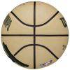 Wilson NBA Player Icon Giannis Antetokounmpo Mini Ball WZ4007501XB