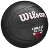 Wilson Team Tribute Chicago Bulls Mini Ball WZ4017602XB
