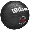 Wilson Team Tribute Toronto Raptors Mini Ball WZ4017608XB