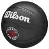 Wilson Team Tribute Toronto Raptors Mini Ball WZ4017608XB