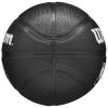Wilson Team Tribute Toronto Raptors Mini Ball WZ4017608XB