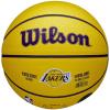 Wilson NBA Player Icon LeBron James Mini Ball WZ4027701XB