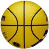 Wilson NBA Player Icon LeBron James Mini Ball WZ4027701XB