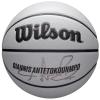 Wilson NBA Player Icon Uv Bskt Giannis WZ4030901XB