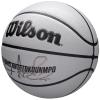Wilson NBA Player Icon Uv Bskt Giannis WZ4030901XB