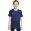Nike Dri-FIT Academy 25 SS Top FZ9758-410