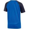Nike DF Academy Pro SS Jr Top DH9277-463