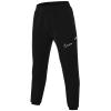 Nike Dri-FIT Academy 25 Pants FZ9852-010