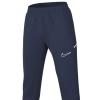 Nike Dri-FIT Academy 25 Pants FZ9852-410