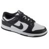 Nike Dunk Low Retro DD1391-100