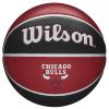 Wilson NBA Team Chicago Bulls Box WZ4021501XP