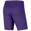 Nike Park III Shorts BV6855-547
