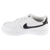 Nike Air Force 1 Low GS CT3839-100