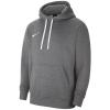 Nike Team Park 20 Hoodie CW6894-071