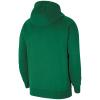 Nike Team Park 20 Hoodie CW6894-302