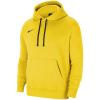 Nike Team Park 20 Hoodie CW6894-719