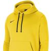 Nike Team Park 20 Hoodie CW6894-719