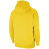 Nike Team Park 20 Hoodie CW6894-719
