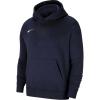Nike Dry Park 20 CW6896-451