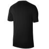Nike Dri-Fit Park 20 Tee CW6941-010