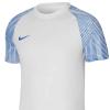 Nike NK DF Academy JSY SS DH8031-102
