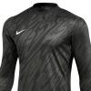 Nike Gardien V Goalkeeper DF FD7474-060