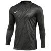 Nike Gardien V Goalkeeper DF FD7474-060