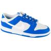 Nike Dunk Low FN3416-001
