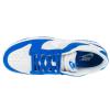Nike Dunk Low FN3416-001
