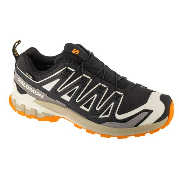 Salomon XA Pro 3D v9 GTX L47881900