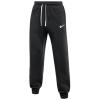 Nike Park 26 Fleece Pant IB1248-010