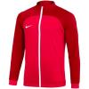 Nike NK Dri-FIT Academy Pro Trk Jacket DH9234-635