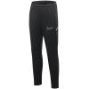 Nike Dri-FIT Academy 25 Pants FZ9816-010