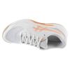 ASICS Gel-Dedicate 9 Clay 1042A314-100
