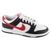 Nike Dunk Low Retro FB3354-001