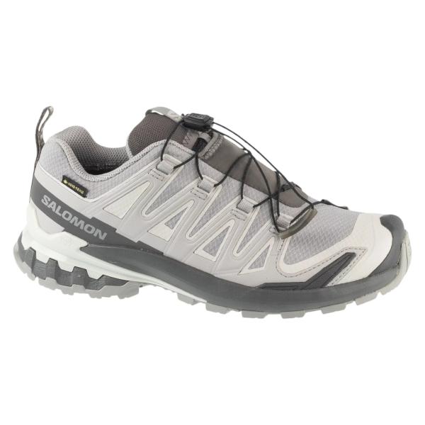 Salomon XA Pro 3D v9 GTX W L45412000