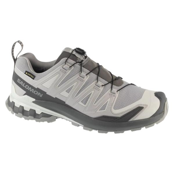 Salomon XA Pro 3D v9 GTX L49199100