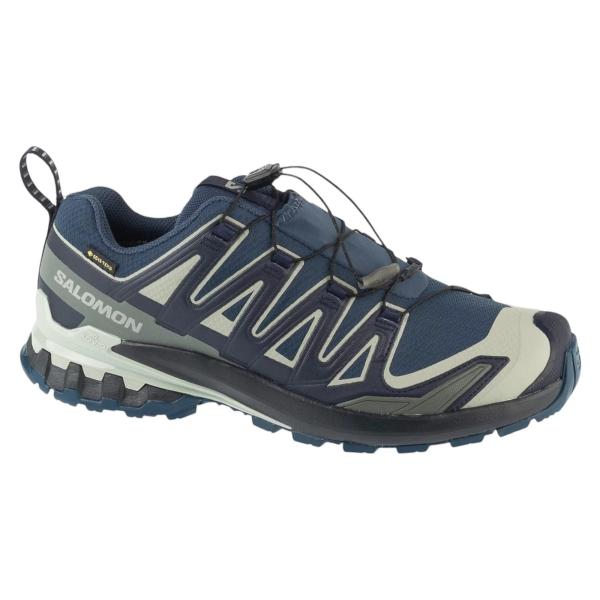Salomon XA Pro 3D v9 GTX L49199200