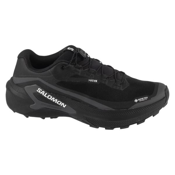 Salomon Genesis 2 GTX L49300300