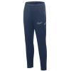 Nike Dri-FIT Academy 25 Pants FZ9816-410