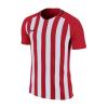 Nike Junior Striped Division 894102-658
