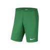 Nike Park III BV6855-302