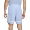 Nike Dri-Fit Academy Shorts CW6107-548
