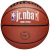 Wilson Jr NBA Fam Logo In/Out Ball WZ2009801XB