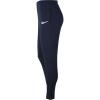 Nike Park 20 CW6907-451
